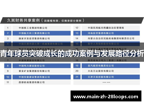 青年球员突破成长的成功案例与发展路径分析 青年球员突破成长的成功案例与发展路径分析