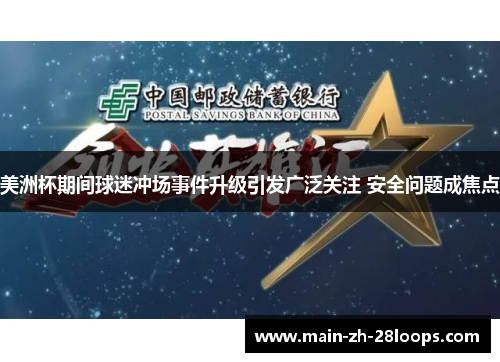 美洲杯期间球迷冲场事件升级引发广泛关注 安全问题成焦点